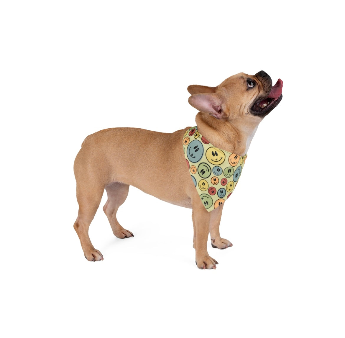 Furry Friends Bandana
